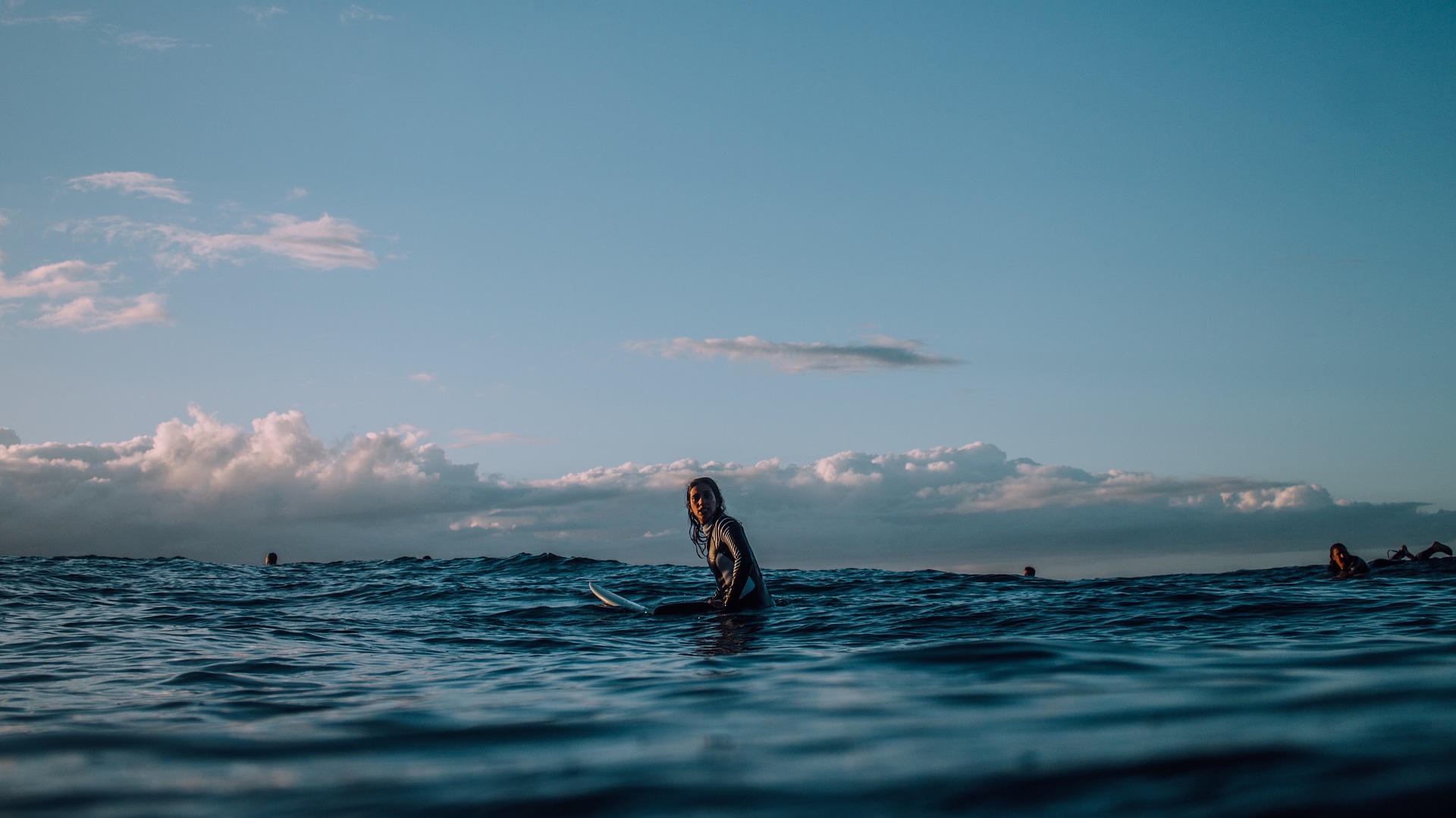 looking for the swell